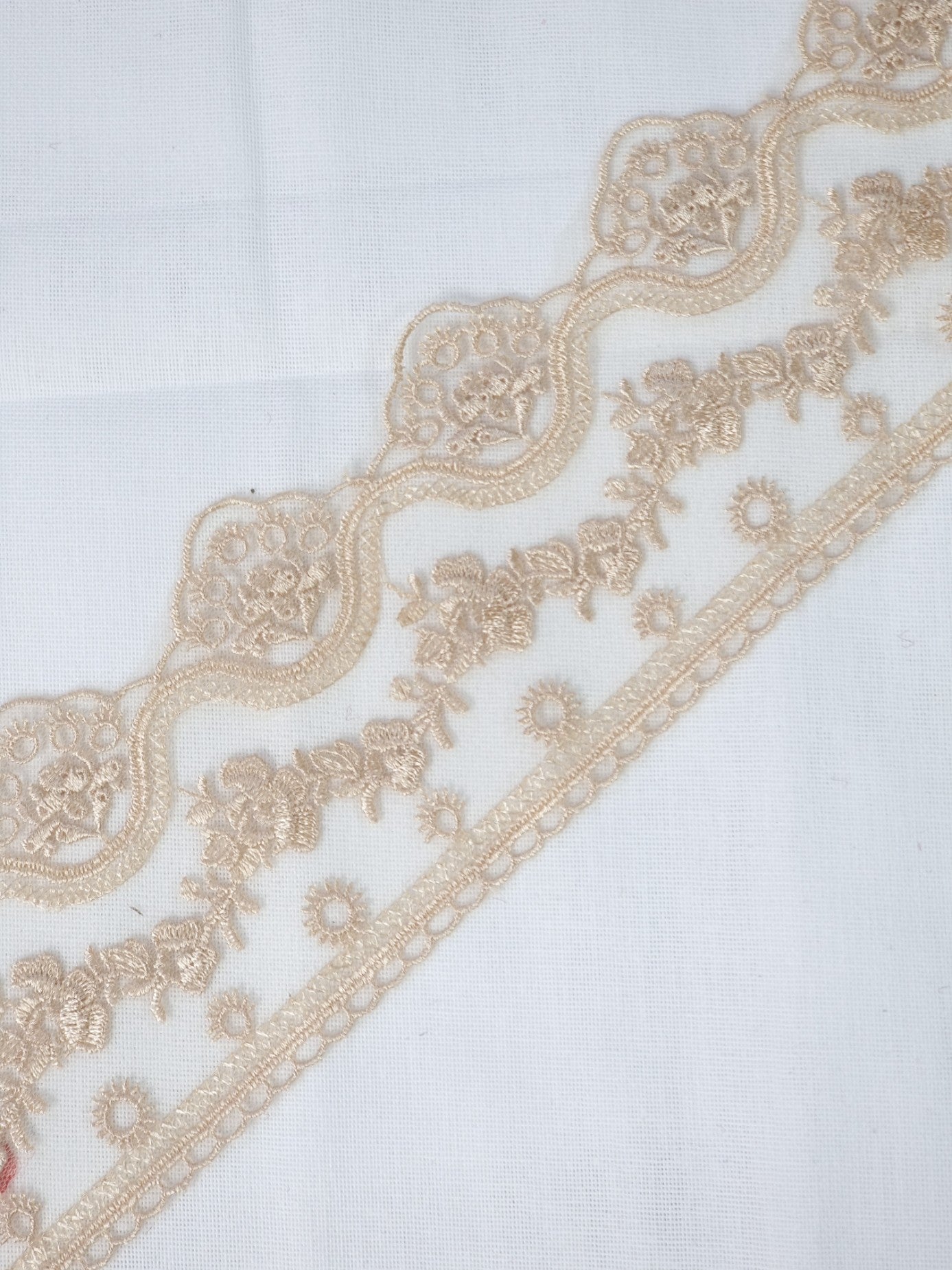 Dantela cu broderie pe fundal din tull, latime 6cm, Bej